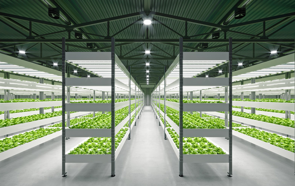 PP电子(中国集团)有限公司官网