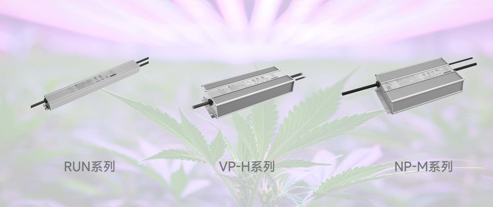 PP电子(中国集团)有限公司官网